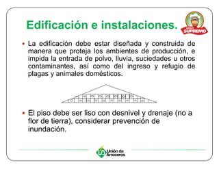 Edificación e instalaciones.
y La edificación debe estar diseñada y construida de
 manera que proteja los ambientes de producción, e
 impida la entrada de polvo, lluvia, suciedades u otros
 contaminantes, así como del ingreso y refugio de
 plagas y animales domésticos.




y El piso debe ser liso con desnivel y drenaje (no a
 flor de tierra), considerar prevención de
 inundación.
 