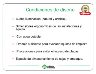 Condiciones de diseño
y Buena iluminación (natural y artificial).

y Dimensiones ergonómicas de las instalaciones y
    equipo.

y   Con agua potable.

y   Drenaje suficiente para evacuar líquidos de limpieza.

y   Precauciones para evitar el ingreso de plagas.

y Espacio de almacenamiento de cajas y empaque.
 