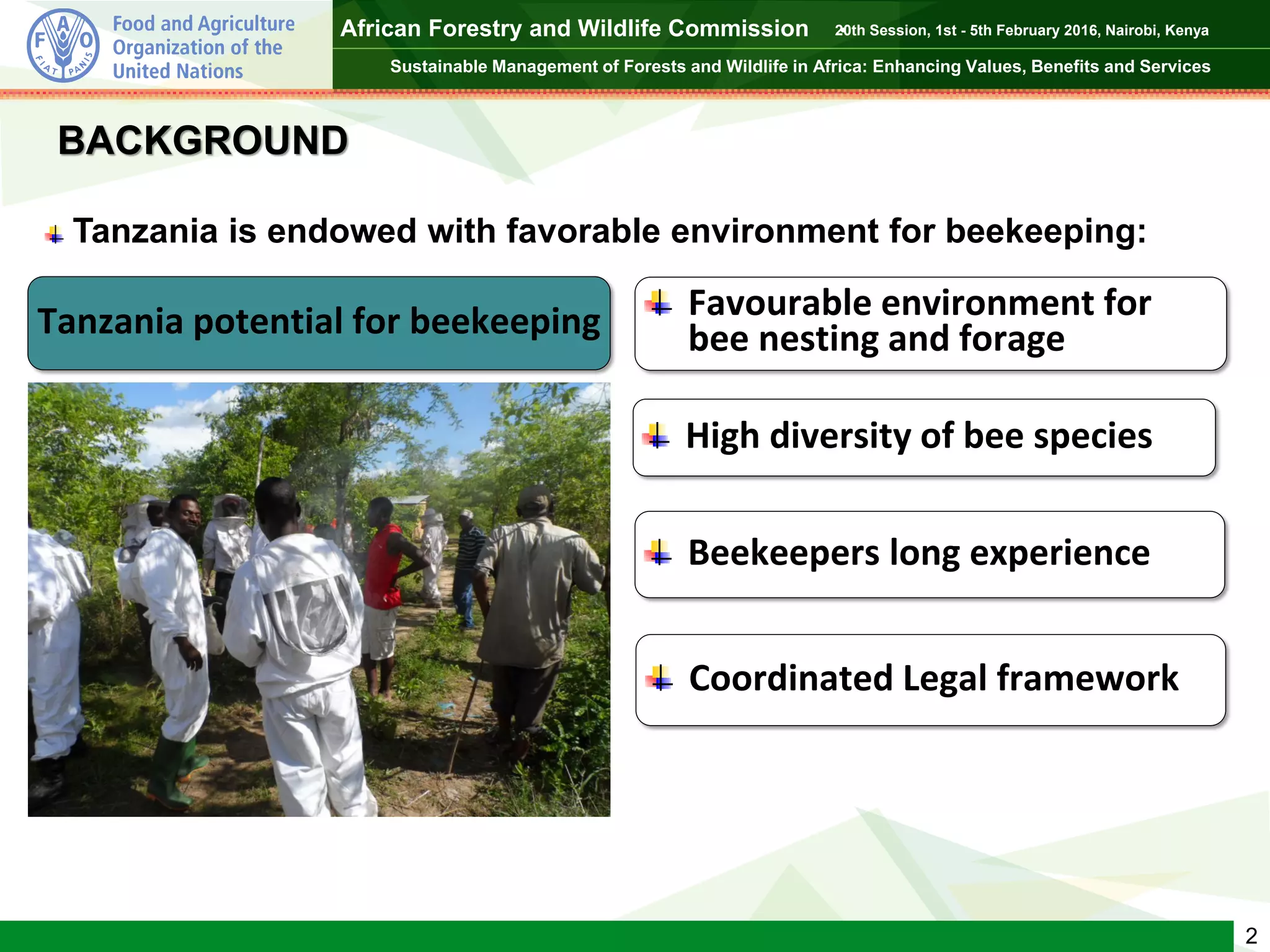 AFWC 20 BK VALUE CHAIN DEVELOPMENT IN TANZANIA _ISSA MPINGA | PPT