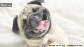 Thank-you
Minnal Rana (060) | Mouli Khulbe (064)
 