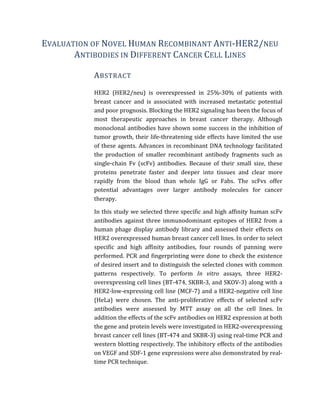 EVALUATION	
  OF	
  NOVEL	
  HUMAN	
  RECOMBINANT	
  ANTI-­‐HER2/NEU	
  
ANTIBODIES	
  IN	
  DIFFERENT	
  CANCER	
  CELL	
  LINES	
  
ABSTRACT	
  
	
  
HER2	
   (HER2/neu)	
   is	
   overexpressed	
   in	
   25%-­‐30%	
   of	
   patients	
   with	
  
breast	
   cancer	
   and	
   is	
   associated	
   with	
   increased	
   metastatic	
   potential	
  
and	
  poor	
  prognosis.	
  Blocking	
  the	
  HER2	
  signaling	
  has	
  been	
  the	
  focus	
  of	
  
most	
   therapeutic	
   approaches	
   in	
   breast	
   cancer	
   therapy.	
   Although	
  
monoclonal	
  antibodies	
  have	
  shown	
  some	
  success	
  in	
  the	
  inhibition	
  of	
  
tumor	
  growth,	
  their	
  life-­‐threatening	
  side	
  effects	
  have	
  limited	
  the	
  use	
  
of	
  these	
  agents.	
  Advances	
  in	
  recombinant	
  DNA	
  technology	
  facilitated	
  
the	
   production	
   of	
   smaller	
   recombinant	
   antibody	
   fragments	
   such	
   as	
  
single-­‐chain	
   Fv	
   (scFv)	
   antibodies.	
   Because	
   of	
   their	
   small	
   size,	
   these	
  
proteins	
   penetrate	
   faster	
   and	
   deeper	
   into	
   tissues	
   and	
   clear	
   more	
  
rapidly	
   from	
   the	
   blood	
   than	
   whole	
   IgG	
   or	
   Fabs.	
   The	
   scFvs	
   offer	
  
potential	
   advantages	
   over	
   larger	
   antibody	
   molecules	
   for	
   cancer	
  
therapy.	
  
In	
  this	
  study	
  we	
  selected	
  three	
  specific	
  and	
  high	
  affinity	
  human	
  scFv	
  
antibodies	
  against	
  three	
  immunodominant	
  epitopes	
  of	
  HER2	
  from	
  a	
  
human	
   phage	
   display	
   antibody	
   library	
   and	
   assessed	
   their	
   effects	
   on	
  
HER2	
  overexpressed	
  human	
  breast	
  cancer	
  cell	
  lines.	
  In	
  order	
  to	
  select	
  
specific	
   and	
   high	
   affinity	
   antibodies,	
   four	
   rounds	
   of	
   panning	
   were	
  
performed.	
  PCR	
  and	
  fingerprinting	
  were	
  done	
  to	
  check	
  the	
  existence	
  
of	
  desired	
  insert	
  and	
  to	
  distinguish	
  the	
  selected	
  clones	
  with	
  common	
  
patterns	
   respectively.	
   To	
   perform	
   In	
   vitro	
   assays,	
   three	
   HER2-­‐
overexpressing	
  cell	
  lines	
  (BT-­‐474,	
  SKBR-­‐3,	
  and	
  SKOV-­‐3)	
  along	
  with	
  a	
  
HER2-­‐low-­‐expressing	
  cell	
  line	
  (MCF-­‐7)	
  and	
  a	
  HER2-­‐negative	
  cell	
  line	
  
(HeLa)	
   were	
   chosen.	
   The	
   anti-­‐proliferative	
   effects	
   of	
   selected	
   scFv	
  
antibodies	
   were	
   assessed	
   by	
   MTT	
   assay	
   on	
   all	
   the	
   cell	
   lines.	
   In	
  
addition	
  the	
  effects	
  of	
  the	
  scFv	
  antibodies	
  on	
  HER2	
  expression	
  at	
  both	
  
the	
  gene	
  and	
  protein	
  levels	
  were	
  investigated	
  in	
  HER2-­‐overexpressing	
  
breast	
  cancer	
  cell	
  lines	
  (BT-­‐474	
  and	
  SKBR-­‐3)	
  using	
  real-­‐time	
  PCR	
  and	
  
western	
  blotting	
  respectively.	
  The	
  inhibitory	
  effects	
  of	
  the	
  antibodies	
  
on	
  VEGF	
  and	
  SDF-­‐1	
  gene	
  expressions	
  were	
  also	
  demonstrated	
  by	
  real-­‐
time	
  PCR	
  technique.	
  
 