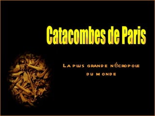 Catacombes de Paris La plus grande nécropole du monde 