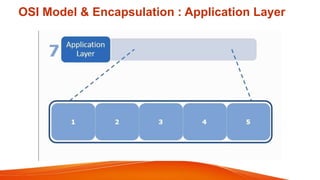 OSI Model & Encapsulation : Application Layer
 