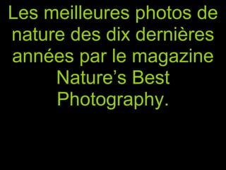 Les meilleures photos de
nature des dix dernières
années par le magazine
Nature’s Best
Photography.
 