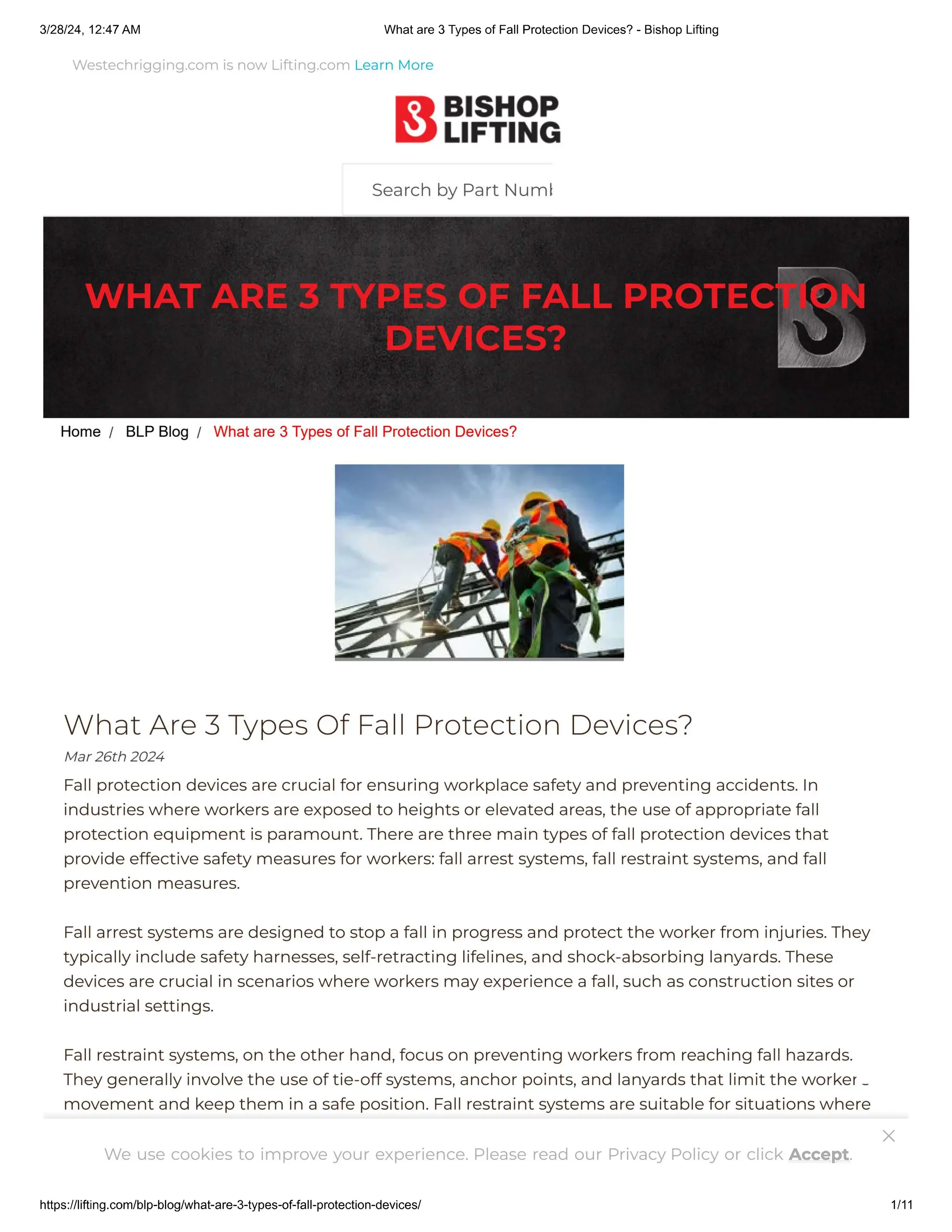 WHAT ARE 3 TYPES OF FALL PROTECTION DEVICES? PDF