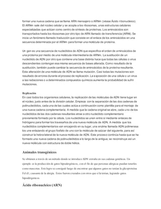 formar una nueva cadena que se llama ARN mensajero o ARNm (véase Ácido ribonucleico).
El ARNm sale del núcleo celular y se acopla a los ribosomas, unas estructuras celulares
especializadas que actúan como centro de síntesis de proteínas. Los aminoácidos son
transportados hasta los ribosomas por otro tipo de ARN llamado de transferencia (ARNt). Se
inicia un fenómeno llamado traducción que consiste en el enlace de los aminoácidos en una
secuencia determinada por el ARNm para formar una molécula de proteína.
Un gen es una secuencia de nucleótidos de ADN que especifica el orden de aminoácidos de
una proteína por medio de una molécula intermediaria de ARNm. La sustitución de un
nucleótido de ADN por otro que contiene una base distinta hace que todas las células o virus
descendientes contengan esa misma secuencia de bases alterada. Como resultado de la
sustitución, también puede cambiar la secuencia de aminoácidos de la proteína resultante.
Esta alteración de una molécula de ADN se llama mutación. Casi todas las mutaciones son
resultado de errores durante el proceso de replicación. La exposición de una célula o un virus
a las radiaciones o a determinados compuestos químicos aumenta la probabilidad de sufrir
mutaciones.
Replicación
En casi todos los organismos celulares, la replicación de las moléculas de ADN tiene lugar en
el núcleo, justo antes de la división celular. Empieza con la separación de las dos cadenas de
polinucleótidos, cada una de las cuales actúa a continuación como plantilla para el montaje de
una nueva cadena complementaria. A medida que la cadena original se abre, cada uno de los
nucleótidos de las dos cadenas resultantes atrae a otro nucleótido complementario
previamente formado por la célula. Los nucleótidos se unen entre sí mediante enlaces de
hidrógeno para formar los travesaños de una nueva molécula de ADN. A medida que los
nucleótidos complementarios van encajando en su lugar, una enzima llamada ADN polimerasa
los une enlazando el grupo fosfato de uno con la molécula de azúcar del siguiente, para así
construir la hebra lateral de la nueva molécula de ADN. Este proceso continúa hasta que se ha
formado una nueva cadena de polinucleótidos a lo largo de la antigua; se reconstruye así un
nueva molécula con estructura de doble hélice.
Animales transgénicos
Se obtienen a través de un método donde se introduce ADN extraño en sus cadenas genéticas. Un
ejemplo es la producción de gatos hipoalergénicos, con el fin de que personas alérgicas puedan tenerlos
como mascotas. Este logro se consiguió luego de encontrar que algunos gatos no tenían la glicoproteína
Fel d1, causante de la alergia. Estos fueron cruzados con otros que sí la tenían, logrando gatos
hipoalérgenicos
Ácido ribonucleico (ARN)
 