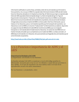 informacióncodificadaencuantoal tipo,cantidady ordende losaminoácidosque formaránla
futuraproteína.Una vezque el ARNmha copiadotodainformacióndesde el ADN sale del núcleo
hacia losribosomasubicadosenel citoplasmacelular(fig.4).Notemosque el gense copiade cada
hebrade ADN separados(hebratempladodelgen1y hebra templadodel gen2).Figura4.
Esquemade la transcripción2.Traducción: lainformacióntranscritaenel ARNmse utilizapara
determinarlasecuencia(orden) de aminoácidosde unaproteína.Unasecuenciade tresbases
nitrogenadasconsecutivasotriplete delARNmse llamacodón.Éste llevainformación,que se
traduce en losribosomas,paraun aminoácidoespecíficoque formaráparte de laproteína. Los
ribosomasse unenal ARNmy lorecorren“traduciendo”lainformaciónde suscodones.Aquíentra
enjuegootro tipode ARN denominadoARN de transferencia(ARNt),que se encargade
transportarun aminoácidodeterminadohastalosribosomas.Unsectorde este ARNttiene un
triplete llamadoanticodónque escomplentarioconel codóndel ARNm;si amboscoinciden,el
ARNtdejael aminoácidoenel ribosoma.Asísucesivamentevanllegandootrosaminoácidosque al
unirse formaránunaproteína.
http://ww2.educarchile.cl/UserFiles/P0001/File/adn.pdf uema de la tradu
3.3.3 Funcion e importancia de ADN y el
ARN
Importancia biológica del ADN
La importancia está basada en sus funciones.
La función principal del ADN es mantener a través del código genético la
información necesaria para crear un ser vivoidéntico a aquel del que proviene (o
muy similar, en el caso de mezclarse con otra cadena como es el caso de la
reproducción sexual o de sufrir mutaciones).
Por sus funciones y propiedades, entre
 