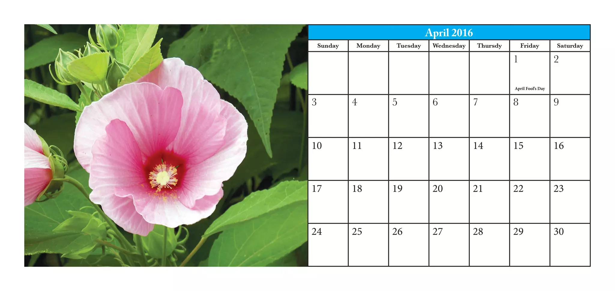 April 2016
Sunday Monday Tuesday Wednesday Thursdy Friday Saturday
1 2
3 4 5 6 7 8 9
10 11 12 13 14 15 16
17 18 19 20 21 22 23
24 25 26 27 28 29 30
April Fool’s Day
 