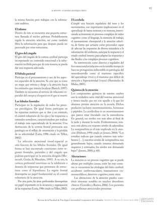 97
La atención: un proceso psicológico básico
Revista de la Facultad de Psicología Universidad Cooperativa de Colombia - Volumen 5, Número 8 / enero-junio 2009
la misma función pero trabajan con la informa-
ción auditiva.
El tálamo
Dentro de éste se encuentra una pequeña estruc-
tura llamada el núcleo pulvinar. Probablemente
regula la atención selectiva, así como también
filtra la información para que después pueda ser
procesada por otras estructuras.
El giro del cíngulo
El giro del cíngulo de la corteza cerebral participa
incorporando un contenido emocional a la infor-
mación recibida para que de esta manera,se pueda
dar una respuesta adecuada.
El lóbulo parietal
Participa en el procesamiento y uso de los aspec-
tos espaciales de la atención. Se cree que es como
un mapa que orienta y dirige a la atención hacia
los estímulos que intenta localizar (Banich, 1997).
También se encuentra al servicio de relaciones es-
paciales del cuerpo y el espacio en el que se mueve.
Los lóbulos frontales
Participan en la regulación de todos los proce-
sos psicológicos. De igual forma participan en
las repuestas motrices que se dan a un estímulo,
el control voluntario de los ojos y las respuestas a
estímulos novedosos,caracterizándose por realizar
el trabajo más especializado de la atención. Una
destrucción de la corteza frontal provocaría una
patología en el reflejo de orientación y la pérdida
de su selectividad (Luria, 1986 citado en Téllez,
2002).
La selección atencional visual-espacial es
otra función de los lóbulos frontales. De igual
forma se han encontrado conexiones entre re-
giones frontales, parietales y del cíngulo que
podrían participar en la atención dirigida (Mo-
recraft, Geula, & Mesulam, 1993). A su vez, la
corteza prefrontal interviene en la inhibición o
demora de respuestas que provienen de estruc-
turas como el hipotálamo. La región frontal
desempeña un papel fundamental en el control
voluntario de la atención.
Por otra parte, las áreas prefrontales desempeñan
un papel importante en la secuencia y organización
de las respuestas (Luria,1986 citado enTéllez,2002).
El cerebelo
Cumple una función reguladora del tono y los
movimientos, con importantes implicaciones en el
aprendizaje de tareas motoras y no motoras,intervi-
niendo activamente en procesos complejos de orden
cognitivo como el lenguaje, la memoria de trabajo,
el razonamiento visoespacial y la atención selecti-
va, de forma que actuaría como procesador capaz
de adecuar las respuestas de diversa naturaleza a la
información del ambiente,anticipar la respuesta y el
estado cerebral interno,para adaptar las respuestas y
dar fluidez a los complejos procesos cognitivos.
Su intervención como director y regulador del
focoatencionalenrelaciónconlavariabletiempo,lo
hace un protagonista indiscutible en patologías del
neurodesarrollo como el trastorno específico
del aprendizaje (tea) y el trastorno por déficit de
atención e hiperactividad (tdah) (Hernández &
Mulas, 2005).
Química de la atención
Los componentes químicos de nuestro cerebro
son la verdadera savia vital del sistema atencional
y tienen mucho que ver con aquello a lo que los
alumnos prestan atención en la escuela. Dichos
productos incluyen neurotransmisores, hormonas
y péptidos. La acetilcolina es un neurotransmisor
que parece estar vinculado con la somnolencia.
En general, sus niveles son más altos al final de
la tarde y durante la noche. Evidentemente, esta-
mos más alerta con mayores niveles de adrenalina.
La norepinefrina es el más implicado en la aten-
ción (Hobson, 1994 citado en Jensen, 2004).“Los
estudios indican que cuando estamos más soño-
lientos […], nuestros niveles de norepinefrina son
generalmente bajos; cuando estamos demasiado
inquietos y estresados, los niveles son demasiado
bajos”(Jensen, 2004, p. 68).
Alteraciones
La atención es un proceso cognitivo que se puede
alterar por múltiples causas, entre las más comu-
nes se encuentran las etiologías del daño cerebral:
accidentes cerebrovasculares, traumatismos cra-
neoencefálicos, deterioro cognitivo, entre otros.
Las alteraciones de la atención pueden cons-
tituir síntomas notables en muchos desordenes
clínicos (González y Ramos, 2006). Los pacientes
con problemas atencionales presentan:
Pensando Psicologia Vol5 Num8.indd 97 02/09/2010 06:49:51 a.m.
 