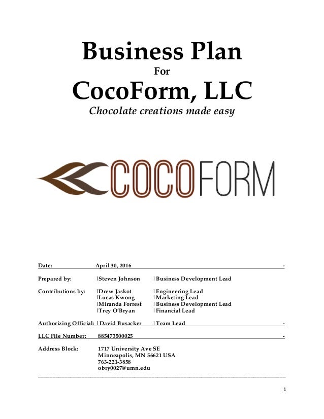mini business plan final 1