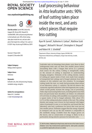 rsos.royalsocietypublishing.org
Research
Cite this article: Garrett RW, Carlson KA,
Goggans MS, Nesson MH, Shepard CA,
Schofield RMS. 2016 Leaf processing behaviour
in Atta leafcutter ants: 90% of leaf cutting
takes place inside the nest, and ants select
piecesthatrequirelesscutting.R.Soc.opensci.
3: 150111. http://dx.doi.org/10.1098/rsos.150111
Received: 11 March 2015
Accepted: 22 December 2015
Subject Category:
Biology (whole organism)
Subject Areas:
behaviour
Keywords:
leafcutter ants, Atta, leaf processing, foraging,
metabolic energy, energetics
Author for correspondence:
Robert M. S. Schofield
e-mail: rmss@uoregon.edu
Leaf processing behaviour
in Atta leafcutter ants: 90%
of leaf cutting takes place
inside the nest, and ants
select pieces that require
less cutting
Ryan W. Garrett1, Katherine A. Carlson1, Matthew Scott
Goggans1, Michael H. Nesson2, Christopher A. Shepard1
and Robert M. S. Schofield1
1Department of Physics, University of Oregon, Eugene, OR 97403, USA
2Department of Biochemistry and Biophysics, Oregon State University, Corvallis,
OR 97331, USA
Leafcutter ants cut trimmings from plants, carry them to their
underground nests and cut them into smaller pieces before
inoculating them with a fungus that serves as a primary
food source for the colony. Cutting is energetically costly,
so the amount of cutting is important in understanding
foraging energetics. Estimates of the cutting density, metres
of cutting per square metre of leaf, were made from samples
of transported leaf cuttings and of fungal substrate from ﬁeld
colonies of Atta cephalotes and Atta colombica. To investigate
cutting inside the nest, we made leaf-processing observations
of our laboratory colony, A. cephalotes. We did not observe the
commonly reported reduction of the leaf fragments into a pulp,
which would greatly increase the energy cost of processing.
Video clips of processing behaviours, including behaviours that
have not previously been described, are linked. An estimated
2.9 (±0.3) km of cutting with mandibles was required to reduce
a square metre of leaf to fungal substrate. Only about 12%
(±1%) of this cutting took place outside of the nest. The cutting
density and energy cost is lower for leaf material with higher
ratios of perimeter to area, so we tested for, and found that the
laboratory ants had a preference for leaves that were pre-cut
into smaller pieces. Estimates suggest that the energy required
to transport and cut up the leaf material is comparable to
the metabolic energy available from the fungus grown on
the leaves, and so conservation of energy is likely to be a
particularly strong selective pressure for leafcutter ants.
2016 The Authors. Published by the Royal Society under the terms of the Creative Commons
Attribution License http://creativecommons.org/licenses/by/4.0/, which permits unrestricted
use, provided the original author and source are credited.
on July 11, 2016http://rsos.royalsocietypublishing.org/Downloaded from
 