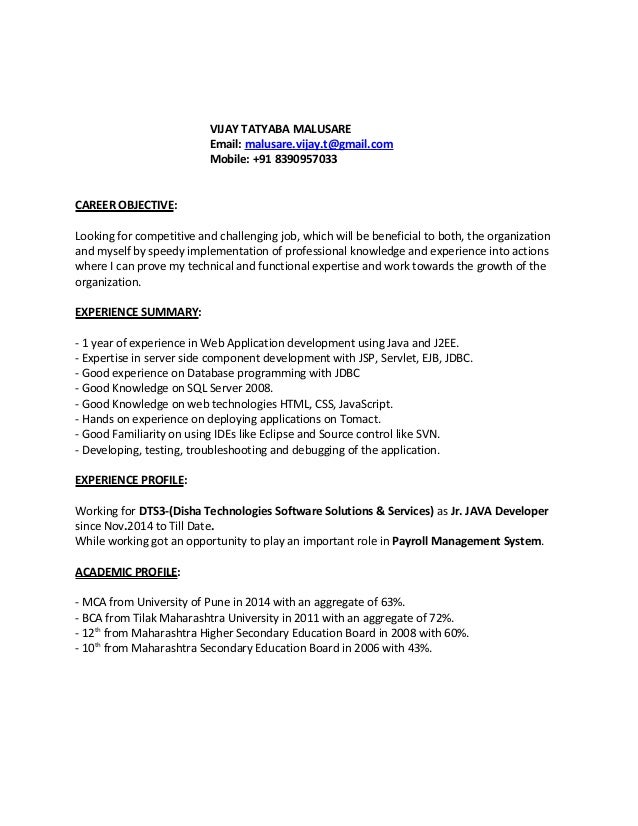 career objective for software developer