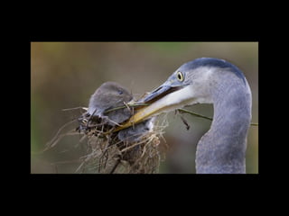 5567 photossuperbes _ms