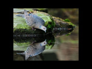 5567 photossuperbes _ms