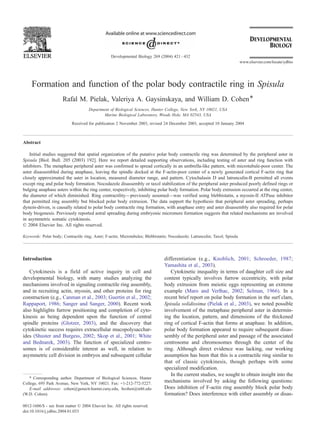 Formation and function of the polar body contractile ring in Spisula
Rafal M. Pielak, Valeriya A. Gaysinskaya, and William D. Cohen*
Department of Biological Sciences, Hunter College, New York, NY 10021, USA
Marine Biological Laboratory, Woods Hole, MA 02543, USA
Received for publication 2 November 2003, revised 24 December 2003, accepted 10 January 2004
Abstract
Initial studies suggested that spatial organization of the putative polar body contractile ring was determined by the peripheral aster in
Spisula [Biol. Bull. 205 (2003) 192]. Here we report detailed supporting observations, including testing of aster and ring function with
inhibitors. The metaphase peripheral aster was confirmed to spread cortically in an umbrella-like pattern, with microtubule-poor center. The
aster disassembled during anaphase, leaving the spindle docked at the F-actin-poor center of a newly generated cortical F-actin ring that
closely approximated the aster in location, measured diameter range, and pattern. Cytochalasin D and latrunculin-B permitted all events
except ring and polar body formation. Nocodazole disassembly or taxol stabilization of the peripheral aster produced poorly defined rings or
bulging anaphase asters within the ring center, respectively, inhibiting polar body formation. Polar body extrusion occurred at the ring center,
the diameter of which diminished. Ring contractility—previously assumed—was verified using blebbistatin, a myosin-II ATPase inhibitor
that permitted ring assembly but blocked polar body extrusion. The data support the hypothesis that peripheral aster spreading, perhaps
dynein-driven, is causally related to polar body contractile ring formation, with anaphase entry and aster disassembly also required for polar
body biogenesis. Previously reported astral spreading during embryonic micromere formation suggests that related mechanisms are involved
in asymmetric somatic cytokinesis.
D 2004 Elsevier Inc. All rights reserved.
Keywords: Polar body; Contractile ring; Aster; F-actin; Microtubules; Blebbistatin; Nocodazole; Latrunculin; Taxol; Spisula
Introduction
Cytokinesis is a field of active inquiry in cell and
developmental biology, with many studies analyzing the
mechanisms involved in signaling contractile ring assembly,
and in recruiting actin, myosin, and other proteins for ring
construction (e.g., Canman et al., 2003; Guertin et al., 2002;
Rappaport, 1986; Sanger and Sanger, 2000). Recent work
also highlights furrow positioning and completion of cyto-
kinesis as being dependent upon the function of central
spindle proteins (Glotzer, 2003), and the discovery that
cytokinetic success requires extracellular mucopolysacchar-
ides (Shuster and Burgess, 2002; Skop et al., 2001; White
and Bednarek, 2003). The function of specialized centro-
somes is of considerable interest as well, in relation to
asymmetric cell division in embryos and subsequent cellular
differentiation (e.g., Knoblich, 2001; Schroeder, 1987;
Yamashita et al., 2003).
Cytokinetic inequality in terms of daughter cell size and
content typically involves furrow eccentricity, with polar
body extrusion from meiotic eggs representing an extreme
example (Maro and Verlhac, 2002; Selman, 1966). In a
recent brief report on polar body formation in the surf clam,
Spisula solidissima (Pielak et al., 2003), we noted possible
involvement of the metaphase peripheral aster in determin-
ing the location, pattern, and dimensions of the thickened
ring of cortical F-actin that forms at anaphase. In addition,
polar body formation appeared to require subsequent disas-
sembly of the peripheral aster and passage of the associated
centrosome and chromosomes through the center of the
ring. Although direct evidence was lacking, our working
assumption has been that this is a contractile ring similar to
that of classic cytokinesis, though perhaps with some
specialized modification.
In the current studies, we sought to obtain insight into the
mechanisms involved by asking the following questions:
Does inhibition of F-actin ring assembly block polar body
formation? Does interference with either assembly or disas-
0012-1606/$ - see front matter D 2004 Elsevier Inc. All rights reserved.
doi:10.1016/j.ydbio.2004.01.033
* Corresponding author. Department of Biological Sciences, Hunter
College, 695 Park Avenue, New York, NY 10021. Fax: +1-212-772-5227.
E-mail addresses: cohen@genectr.hunter.cuny.edu, bcohen@mbl.edu
(W.D. Cohen).
www.elsevier.com/locate/ydbio
Developmental Biology 269 (2004) 421–432
 