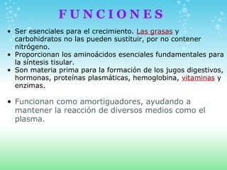F U N C I O N E S
• Ser esenciales para el crecimiento. Las grasas y
carbohidratos no las pueden sustituir, por no contener
nitrógeno.
• Proporcionan los aminoácidos esenciales fundamentales para
la síntesis tisular.
• Son materia prima para la formación de los jugos digestivos,
hormonas, proteínas plasmáticas, hemoglobina, vitaminas y
enzimas.
• Funcionan como amortiguadores, ayudando a
mantener la reacción de diversos medios como el
plasma.
 