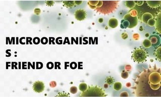 MICROORGANISM
S :
FRIEND OR FOE
 
