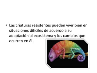 • Las criaturas resistentes pueden vivir bien en
situaciones difíciles de acuerdo a su
adaptación al ecosistema y los cambios que
ocurren en él.
 