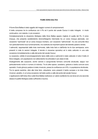 Studio sugli spostamenti (migrazioni) delle principali specie ittiche del bacino della bassa Dora Baltea - Relazione finale
28
FIUME DORA BALTEA
Il fiume Dora Baltea è stato oggetto del maggior numero di campionamenti.
Il tratto compreso tra la confluenza con il Po ed il ponte del canale Cavour è stato indagato in modo
continuativo, con natante, in più occasioni.
Complessivamente la situazione ittiologica della Dora Baltea appare migliore di quella del Po. Il corso
d’acqua, che presenta caratteristiche idromorfologiche intermedie tra un corso d’acqua planiziale, con
vocazione “ciprinicola” ed un corso d’acqua montano, con vocazione “salmonicola”, ha una comunità ittica
non particolarmente ricca numericamente, ma costituita da importanti specie del distretto padano-veneto.
I salmonidi, rappresentati dalla trota marmorata, dalla trota fario e dall’ibrido tra le due semispecie, sono
presenti in tutte le sezioni indagate. Il temolo è viceversa sporadico ed è stato catturato in una sola
occasione immediatamente a valle del ponte del canale Cavour.
Lo scazzone, cottide di accompagnamento tipico delle zone a salmonidi è stato catturato in tutto il tratto di
Dora indagato, con popolazione non abbondante ma articolata in più classi di età.
Analogamente allo scazzone, anche vairone e sanguinerola formano comunità strutturate, seppur non
particolarmente ricche in numero di individui. Tra le altre specie, cavedano, gobione e barbo comune sono
sporadici. Il solo ghiozzo padano è stato rinvenuto, presso la confluenza con il Po, in popolazione strutturata.
Tra le specie esotiche, oltre alla trota fario, ubiquitaria, sono presenti il barbo europeo e la trota iridea,
rinvenuti, peraltro, in un’unica occasione nel tratto subito a valle del ponte del canale Cavour.
L’applicazione dell’indice ittico sulla Dora Baltea restituisce un valore oscillante tra una terza ed una seconda
classe di qualità ittiologica (stato sufficiente e buono).
 