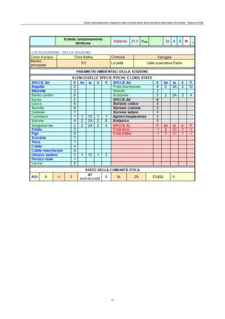 Studio sugli spostamenti (migrazioni) delle principali specie ittiche del bacino della bassa Dora Baltea - Relazione finale
31
 