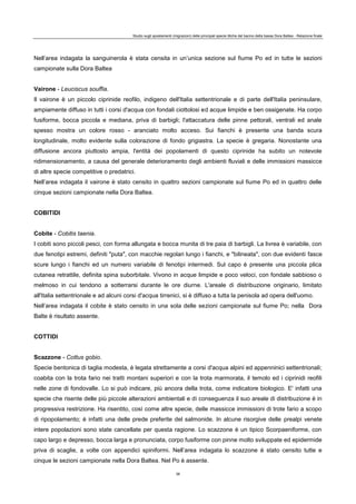 Studio sugli spostamenti (migrazioni) delle principali specie ittiche del bacino della bassa Dora Baltea - Relazione finale
36
Nell’area indagata la sanguinerola è stata censita in un’unica sezione sul fiume Po ed in tutte le sezioni
campionate sulla Dora Baltea
Vairone - Leuciscus souffia.
Il vairone è un piccolo ciprinide reofilo, indigeno dell'Italia settentrionale e di parte dell'Italia peninsulare,
ampiamente diffuso in tutti i corsi d'acqua con fondali ciottolosi ed acque limpide e ben ossigenate. Ha corpo
fusiforme, bocca piccola e mediana, priva di barbigli; l'attaccatura delle pinne pettorali, ventrali ed anale
spesso mostra un colore rosso - aranciato molto acceso. Sui fianchi è presente una banda scura
longitudinale, molto evidente sulla colorazione di fondo grigiastra. La specie è gregaria. Nonostante una
diffusione ancora piuttosto ampia, l'entità dei popolamenti di questo ciprinide ha subito un notevole
ridimensionamento, a causa del generale deterioramento degli ambienti fluviali e delle immissioni massicce
di altre specie competitive o predatrici.
Nell’area indagata il vairone è stato censito in quattro sezioni campionate sul fiume Po ed in quattro delle
cinque sezioni campionate nella Dora Baltea.
COBITIDI
Cobite - Cobitis taenia.
I cobiti sono piccoli pesci, con forma allungata e bocca munita di tre paia di barbigli. La livrea è variabile, con
due fenotipi estremi, definiti "puta", con macchie regolari lungo i fianchi, e "bilineata", con due evidenti fasce
scure lungo i fianchi ed un numero variabile di fenotipi intermedi. Sul capo è presente una piccola plica
cutanea retrattile, definita spina suborbitale. Vivono in acque limpide e poco veloci, con fondale sabbioso o
melmoso in cui tendono a sotterrarsi durante le ore diurne. L'areale di distribuzione originario, limitato
all'Italia settentrionale e ad alcuni corsi d'acqua tirrenici, si è diffuso a tutta la penisola ad opera dell'uomo.
Nell’area indagata il cobite è stato censito in una sola delle sezioni campionate sul fiume Po; nella Dora
Balte è risultato assente.
COTTIDI
Scazzone - Cottus gobio.
Specie bentonica di taglia modesta, è legata strettamente a corsi d'acqua alpini ed appenninici settentrionali;
coabita con la trota fario nei tratti montani superiori e con la trota marmorata, il temolo ed i ciprinidi reofili
nelle zone di fondovalle. Lo si può indicare, più ancora della trota, come indicatore biologico. E' infatti una
specie che risente delle più piccole alterazioni ambientali e di conseguenza il suo areale di distribuzione è in
progressiva restrizione. Ha risentito, così come altre specie, delle massicce immissioni di trote fario a scopo
di ripopolamento; è infatti una delle prede preferite del salmonide. In alcune risorgive delle prealpi venete
intere popolazioni sono state cancellate per questa ragione. Lo scazzone è un tipico Scorpaeniforme, con
capo largo e depresso, bocca larga e pronunciata, corpo fusiforme con pinne molto sviluppate ed epidermide
priva di scaglie, a volte con appendici spiniformi. Nell’area indagata lo scazzone è stato censito tutte e
cinque le sezioni campionate nella Dora Baltea. Nel Po è assente.
 