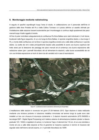 Studio sugli spostamenti (migrazioni) delle principali specie ittiche del bacino della bassa Dora Baltea - Relazione finale
42
8. Monitoraggio mediante radiotracking
A seguito di specifici sopralluoghi lungo l’area di studio, in collaborazione con il personale dell’Ente di
gestione delle Aree Protette del Po e della Collina Torinese si è potuto definire un assetto ottimale per
l’installazione delle stazione riceventi automatiche per il monitoraggio in continuo degli spostamenti dei pesci
marcati lungo il tratto oggetto di studio.
Al fine di poter controllare adeguatamente la confluenza Po-Dora Baltea sono stati individuati n.3 siti idonei,
localizzati nella figura seguente, di cui uno lungo la Dora Baltea, in sponda orografica destra, e due lungo il
Po, a monte della confluenza con la Dora in sponda orografica sinistra ed a valle della confluenza in sponda
destra. La scelta dei siti è stata principalmente basata sulla possibilità di avere una buona copertura del
tratto alveo per la detezione dei passaggi dei pesci marcati ed al contempo una buona esposizione alla
radiazione solare (per i pannelli fotovoltaici atti ad alimentare le stazioni), sulla buona accessibilità dei siti
con una limitata esposizione ai rischi di danni da atti vandalici ed in caso di esondazioni.
Figura 10. Localizzazione stazioni automatiche radiotracking (da Google Maps)
L’installazione delle stazioni è avvenuta nei giorni 27-29 febbraio 2012. Ogni stazione è stata realizzata
mediante una struttura portante in tubazione metallica immorsata nel terreno lungo la quale sono stati
installati un box con chiusura di sicurezza contenente n. 2 stazioni riceventi automatiche (ATS R4500S a
tecnologia DSP - Digital Signal Processing) ed il relativo sistema di alimentazione (batterie tubolari a rilascio
graduale 12V, 100Ah e regolatori di carica), n.2 antenne Yagi a 4 elementi da 110 cm, di cui una orientata a
monte ed una a valle della stazione al fine di garantire la massima copertura in termini di ricezione del
segnale radio nell’intorno del sito esame, e n.1 pannello fotovoltaico da 100W.
DORA
PO-MONTE
PO-VALLE
 