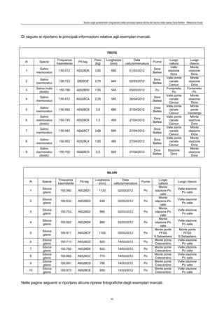 Studio sugli spostamenti (migrazioni) delle principali specie ittiche del bacino della bassa Dora Baltea - Relazione finale
45
Di seguito si riportano le principali informazioni relative agli esemplari marcati:
TROTE
N Specie
Frequenza
trasmittente
Pit-tag
Peso
[kg]
Lunghezza
[mm]
Data
cattura/marcatura
Fiume
Luogo
cattura
Luogo
rilascio
1
Salmo
marmoratus
150.612 A9328D6 3,60 690 01/03/2012
Dora
Baltea
Valle
stazione
Dora
Monte
stazione
Dora
2
Salmo
marmoratus
150.723 E820CE 2,75 640 02/03/2012
Dora
Baltea
Valle ponte
canale
Cavour
Monte
stazione
Dora
3
Salmo trutta
(ibrido)
150.780 A9328D0 1,55 540 03/03/2012 Po
Fontanetto
Po
Fontanetto
Po
4
Salmo
marmoratus
150.812 A9328CA 2,25 540 26/04/2012
Dora
Baltea
Valle ponte
canale
Cavour
Monte
stazione
Dora
5
Salmo
marmoratus
150.692 A9328C8 3,8 680 27/04/2012
Dora
Baltea
Valle ponte
canale
Cavour
Monte
ponte
Verolengo
6
Salmo
marmoratus
(ibrido)
150.743 A9328C6 1,3 450 27/04/2012
Dora
Baltea
Valle ponte
canale
Cavour
Monte
stazione
Dora
7
Salmo
marmoratus
150.842 A9328C7 3,95 680 27/04/2012
Dora
Baltea
Valle ponte
canale
Cavour
Monte
stazione
Dora
8
Salmo
marmoratus
150.852 A9328C4 1,65 490 27/04/2012
Dora
Baltea
Valle ponte
canale
Cavour
Monte
stazione
Dora
9
Salmo
marmoratus
(ibrido)
150.702 A9328C5 3,5 640 27/04/2012
Dora
Baltea
Stazione
Dora
Monte
stazione
Dora
SILURI
N Specie
Frequenza
trasmittente
Pit-tag
Lunghezza
[mm]
Data
cattura/marcatura
Fiume
Luogo
cattura
Luogo rilascio
1
Silurus
glanis
150.592 A9328D1 1120 02/03/2012 Po
Monte
stazione Po
valle
Valle stazione
Po valle
2
Silurus
glanis
150.632 A9328D3 830 02/03/2012 Po
Monte
stazione Po
valle
Valle stazione
Po valle
3
Silurus
glanis
150.753 A9328D2 860 02/03/2012 Po
Monte
stazione Po
valle
Valle stazione
Po valle
4
Silurus
glanis
150.802 A9328D4 880 02/03/2012 Po
Monte
stazione Po
valle
Valle stazione
Po valle
5
Silurus
glanis
150.911 A9328CF 1100 05/03/2012 Po
Monte ponte
FFSS
S.Sebastiano
Monte ponte
FFSS
S.Sebastiano
6
Silurus
glanis
150.713 A9328CD 820 14/03/2012 Po
Monte ponte
Crescentino
Valle stazione
Po valle
7
Silurus
glanis
150.792 A9328D5 820 14/03/2012 Po
Monte ponte
Crescentino
Valle stazione
Po valle
8
Silurus
glanis
150.862 A9328CC 770 14/03/2012 Po
Monte ponte
Crescentino
Valle stazione
Po valle
9
Silurus
glanis
150.891 A9328CD 780 14/03/2012 Po
Monte ponte
Crescentino
Valle stazione
Po valle
10
Silurus
glanis
150.972 A9328CE 850 14/03/2012 Po
Monte ponte
Crescentino
Valle stazione
Po valle
Nelle pagine seguenti si riportano alcune riprese fotografiche degli esemplari marcati.
 