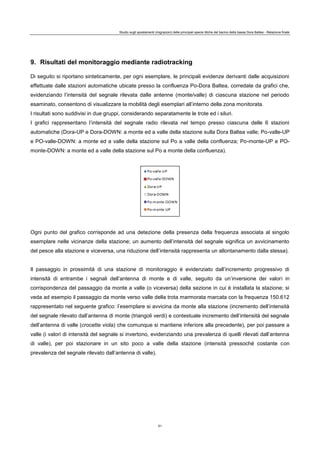 Studio sugli spostamenti (migrazioni) delle principali specie ittiche del bacino della bassa Dora Baltea - Relazione finale
51
9. Risultati del monitoraggio mediante radiotracking
Di seguito si riportano sinteticamente, per ogni esemplare, le principali evidenze derivanti dalle acquisizioni
effettuate dalle stazioni automatiche ubicate presso la confluenza Po-Dora Baltea, corredate da grafici che,
evidenziando l’intensità del segnale rilevata dalle antenne (monte/valle) di ciascuna stazione nel periodo
esaminato, consentono di visualizzare la mobilità degli esemplari all’interno della zona monitorata.
I risultati sono suddivisi in due gruppi, considerando separatamente le trote ed i siluri.
I grafici rappresentano l’intensità del segnale radio rilevata nel tempo presso ciascuna delle 6 stazioni
automatiche (Dora-UP e Dora-DOWN: a monte ed a valle della stazione sulla Dora Baltea valle; Po-valle-UP
e PO-valle-DOWN: a monte ed a valle della stazione sul Po a valle della confluenza; Po-monte-UP e PO-
monte-DOWN: a monte ed a valle della stazione sul Po a monte della confluenza).
Ogni punto del grafico corrisponde ad una detezione della presenza della frequenza associata al singolo
esemplare nelle vicinanze della stazione; un aumento dell’intensità del segnale significa un avvicinamento
del pesce alla stazione e viceversa, una riduzione dell’intensità rappresenta un allontanamento dalla stessa).
Il passaggio in prossimità di una stazione di monitoraggio è evidenziato dall’incremento progressivo di
intensità di entrambe i segnali dell’antenna di monte e di valle, seguito da un’inversione dei valori in
corrispondenza del passaggio da monte a valle (o viceversa) della sezione in cui è installata la stazione; si
veda ad esempio il passaggio da monte verso valle della trota marmorata marcata con la frequenza 150.612
rappresentato nel seguente grafico: l’esemplare si avvicina da monte alla stazione (incremento dell’intensità
del segnale rilevato dall’antenna di monte (triangoli verdi) e contestuale incremento dell’intensità del segnale
dell’antenna di valle (crocette viola) che comunque si mantiene inferiore alla precedente), per poi passare a
valle (i valori di intensità del segnale si invertono, evidenziando una prevalenza di quelli rilevati dall’antenna
di valle), per poi stazionare in un sito poco a valle della stazione (intensità pressoché costante con
prevalenza del segnale rilevato dall’antenna di valle).
 