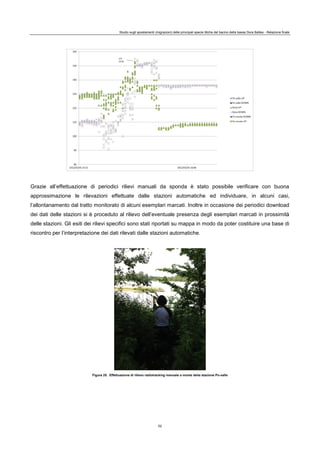 Studio sugli spostamenti (migrazioni) delle principali specie ittiche del bacino della bassa Dora Baltea - Relazione finale
52
Grazie all’effettuazione di periodici rilievi manuali da sponda è stato possibile verificare con buona
approssimazione le rilevazioni effettuate dalle stazioni automatiche ed individuare, in alcuni casi,
l’allontanamento dal tratto monitorato di alcuni esemplari marcati. Inoltre in occasione dei periodici download
dei dati delle stazioni si è proceduto al rilievo dell’eventuale presenza degli esemplari marcati in prossimità
delle stazioni. Gli esiti dei rilievi specifici sono stati riportati su mappa in modo da poter costituire una base di
riscontro per l’interpretazione dei dati rilevati dalle stazioni automatiche.
Figura 25. Effettuazione di rilievo radiotracking manuale a monte della stazione Po-valle
 