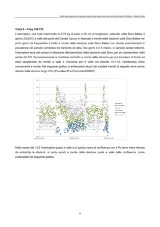 Studio sugli spostamenti (migrazioni) delle principali specie ittiche del bacino della bassa Dora Baltea - Relazione finale
58
Trota 2 – Freq.150.723
L’esemplare, una trota marmorata di 2,75 kg di peso e 64 cm di lunghezza, catturato nella Dora Baltea il
giorno 2/3/2012 a valle del ponte del Canale Cavour e rilasciato a monte della stazione sulla Dora Baltea nei
primi giorni ha frequentato il tratto a monte della stazione sulla Dora Baltea con diversi avvicinamenti in
prevalenza nel periodo compreso tra tramonto ed alba. Nei giorni 4 e 5 marzo, in periodo serale-notturno,
l’esemplare esce dal campo di detezione allontanandosi dalla stazione sulla Dora, per poi ripresentarsi nella
serata del 5/3. Successivamente si mantiene nel tratto a monte della stazione per poi transitare di fronte ad
essa spostandosi da monte a valle e viceversa per 6 volte nel periodo 10-11/3, riportandosi infine
nuovamente a monte. Nel seguente grafico si evidenziano alcuni dei suddetti transiti (il segnale viene anche
rilevato dalle stazioni lungo il Po (Po-valle-UP e Po-monte-DOWN).
Nella serata del 12/3 l’esemplare passa a valle e si sposta verso la confluenza con il Po dove viene rilevato
da entrambe le stazioni; si porta quindi a monte della stazione posta a valle della confluenza, come
evidenziato nel seguente grafico.
 
