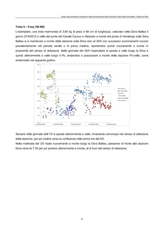 Studio sugli spostamenti (migrazioni) delle principali specie ittiche del bacino della bassa Dora Baltea - Relazione finale
62
Trota 5 – Freq.150.692
L’esemplare, una trota marmorata di 3,80 kg di peso e 68 cm di lunghezza, catturato nella Dora Baltea il
giorno 27/4/2012 a valle del ponte del Canale Cavour e rilasciato a monte del ponte di Verolengo sulla Dora
Baltea si è mantenuto a monte della stazione sulla Dora sino al 30/4 con successivi avvicinamenti occorsi
prevalentemente nel periodo serale o di prima mattina, riportandosi quindi nuovamente a monte in
prossimità del campo di detezione. Nella giornata del 30/4 l’esemplare si sposta a valle lungo la Dora e
quindi ulteriormente a valle lungo il Po, andandosi a posizionare a monte della stazione Po-valle, come
evidenziato nel seguente grafico.
Sempre nella giornata dell’1/5 si sposta ulteriormente a valle, rimanendo comunque nel campo di detezione
della stazione, per poi risalire verso la confluenza nelle prime ore del 2/5.
Nella mattinata del 3/5 risale nuovamente a monte lungo la Dora Baltea, passando di fronte alla stazione
Dora verso le 7:30 per poi portarsi ulteriormente a monte, al di fuori del campo di detezione.
 