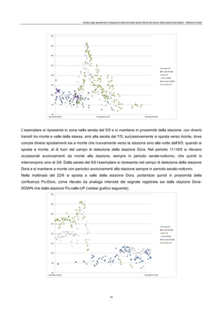 Studio sugli spostamenti (migrazioni) delle principali specie ittiche del bacino della bassa Dora Baltea - Relazione finale
63
L’esemplare si ripresenta in zona nella serata del 5/5 e si mantiene in prossimità della stazione, con diversi
transiti tra monte e valle della stessa, sino alla serata del 7/5; successivamente si sposta verso monte, dove
compie diversi spostamenti sia a monte che nuovamente verso la stazione sino alla notte dell’8/5, quando si
sposta a monte, al di fuori del campo di detezione della stazione Dora. Nel periodo 11-16/5 si rilevano
occasionali avvicinamenti da monte alla stazione, sempre in periodo serale-notturno, che quindi si
interrompono sino al 3/6. Dalla serata del 5/6 l’esemplare si ripresenta nel campo di detezione della stazione
Dora e si mantiene a monte con periodici avvicinamenti alla stazione sempre in periodo serale-notturno.
Nella mattinata del 22/6 si sposta a valle della stazione Dora, portandosi quindi in prossimità della
confluenza Po-Dora, come rilevato da analoga intensità del segnale registrata sia dalla stazione Dora-
DOWN che dalla stazione Po-valle-UP (vedasi grafico seguente).
 