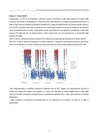 Studio sugli spostamenti (migrazioni) delle principali specie ittiche del bacino della bassa Dora Baltea - Relazione finale
84
Siluro 9 – Freq.150.891
L’esemplare, di 0,78 m di lunghezza, catturato il giorno 14/3/2012 a valle della stazione Po-valle (nelle
vicinanze del Ponte di Crescentino) e rilasciato preso tale stazione, si mantiene prevalentemente poco a
valle di tale stazione effettuando periodici spostamenti a valle prevalentemente nel periodo serale-notturno,
sino al 23/3, momento dal quale si sposta poco a monte della stazione ed inizia ad effettuare spostamenti
rivolti prevalentemente a monte. L’esemplare sposta nuovamente la sua posizione prevalente a valle della
stazione Po-valle dal 4/4, ed ulteriormente a valle il giorno 6/4, per poi riposizionarsi in prossimità della
stazione Po-valle.
Dall’1/5 tende a stazionare presso la stazione Po-valle per poi riprendere gli spostamenti a partire dal 5/5.
Dal 10/5 in avanti effettua spostamenti a monte traslando il baricentro della propria posizione per alcuni
periodi di durata pari a 2-3 giorni, alternati da riposizionamenti di breve durata presso la stazione Po-valle.
Tale comportamento si mantiene pressoché inalterato sino al 24/7, seppur con stazionamenti nel sito di
monte con durata più limitata, mai superiori a 2 giorni. Da tale data si sposta leggermente a valle della
stazione Po-valle compiendo prevalentemente spostamenti ulteriormente a valle, generalmente di limitata
estensione.
I rilievi manuali lo riscontrano prevalentemente tra la confluenza e la stazione Po-valle ed a valle di
quest’ultima.
 