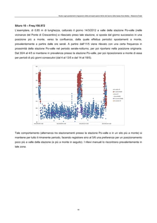 Studio sugli spostamenti (migrazioni) delle principali specie ittiche del bacino della bassa Dora Baltea - Relazione finale
85
Siluro 10 – Freq.150.972
L’esemplare, di 0,85 m di lunghezza, catturato il giorno 14/3/2012 a valle della stazione Po-valle (nelle
vicinanze del Ponte di Crescentino) e rilasciato preso tale stazione, si sposta dal giorno successivo in una
posizione più a monte, verso la confluenza, dalla quale effettua periodici spostamenti a monte,
prevalentemente a partire dalle ore serali. A partire dall’11/5 viene rilevato con una certa frequenza in
prossimità della stazione Po-valle nel periodo serale-notturno, per poi riportarsi nella posizione originaria.
Dal 30/4 al 4/5 si mantiene in prevalenza presso la stazione Po-valle, per poi riposizionarsi a monte di essa
per periodi di più giorni consecutivi (dal 4 al 13/5 e dal 14 al 18/5).
Tale comportamento (alternanza tra stazionamenti presso la stazione Po-valle e in un sito più a monte) si
mantiene per tutto il rimanente periodo, facendo registrare sino al 5/6 una preferenza per un posizionamento
poco più a valle della stazione (e più a monte in seguito). I rilievi manuali lo riscontrano prevalentemente in
tale zona.
 
