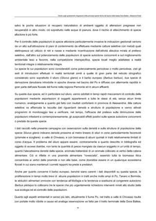 Studio sugli spostamenti (migrazioni) delle principali specie ittiche del bacino della bassa Dora Baltea - Relazione finale
90
salvo le poche situazioni di recupero naturalistico di ambienti oggetto di alterazioni pregresse non
recuperabili in altro modo; ciò soprattutto nelle acque di pianura, dove il rischio di attecchimento di specie
alloctone è più forte.
Per il controllo delle popolazioni di specie alloctone particolarmente invasive le indicazioni gestionali vertono
da un alto sull’attivazione di piani di contenimento da effettuare mediante catture selettive con metodi quali
elettropesca od utilizzo di reti e nasse e mediante incentivazione dell’attività alieutica mirata al prelievo
selettivo, dall’altro sul potenziamento delle popolazioni di specie autoctone concorrenti e sul miglioramento
ambientale teso a favorire, nella competizione interspecifica, specie locali meglio adattatesi a realtà
territoriali integre o relativamente integre.
Le specie le cui popolazioni sono considerabili come potenzialmente pericolose o molto pericolose, visti gli
esiti di introduzioni effettuati in realtà territoriali simili a quelle di gran parte del reticolo idrografico
considerato sono soprattutto il siluro (Silurus glanis) e il barbo europeo (Barbus barbus), due specie di
derivazione danubiana introdotte in epoche diverse nel bacino del Po e diffusisi con allarmante rapidità in
gran parte dell’asta fluviale del fiume nella regione Piemonte ed in alcuni affluenti.
Su queste due specie, ed in particolare sul siluro, vanno adottati in tempi rapidi meccanismi di controllo delle
popolazioni mediante asportazioni di soggetti appartenenti a tutte le classi di età, senza alcun limite
numerico, analogamente a quanto già fatto con risultati confortanti in provincia di Alessandria. Alle catture
selettive va affiancata la raccolta dati riguardanti densità e struttura di popolazione e vanno attivati
programmi di monitoraggio tesi a verificare, nel tempo, l’efficacia del prelievo sulla diminuzione delle
popolazioni infestanti e contemporaneamente, gli auspicabili effetti positivi sulle specie autoctone concorrenti
o predate da queste specie.
I dati raccolti nella presente campagna con osservazioni sulla densità e sulla struttura di popolazione della
specie Silurus glanis indicano densità prossime al metro lineare di siluri in zone particolarmente favorevoli
(prismate e scogliere) a valle di Chivasso, e con biomassa di alcuni quintali in tratti relativamente limitati di
corso d’acqua. Il problema del siluro appare essere, contrariamente a quanto descritto in bibliografia ed
oggetto di accese diatribe, non tanto la quantità di pesce mangiato da ciascun soggetto in un’unità di tempo,
quanto l’elevatissima densità della specie, anomala trattandosi di un animale collocato ai vertici della catena
alimentare. Ciò si riflette in una piramide alimentare “rovesciata”, essendo tutta la biomassa ittica
concentrata ai vertici della piramide e non alla base, come dovrebbe essere in un qualunque ecosistema
fluviali in cui siano mantenuti i corretti rapporti tra prede e predatori.
Anche per quanto concerne il barbo europeo, benché siano carenti i dati disponibili su questa specie, la
proliferazione in tempi molto brevi di alcune popolazioni in tratti anche molto ampi di Po, Tanaro e Bormida,
le abitudini alimentari onnivore con tendenza all’ittiofagia e la tendenza a sostituirsi al congenere autoctono
Barbus plebejus lo collocano tra le specie che più urgentemente richiedono interventi mirati allo studio della
sua ecologia ed al controllo delle popolazioni.
Quanto agli aspetti ambientali in senso più lato, attualmente il fiume Po, nel tratto a valle di Chivasso risulta
con portate molto ridotte a causa ed analoga osservazione va fatta per il tratto terminale della Dora Baltea,
 