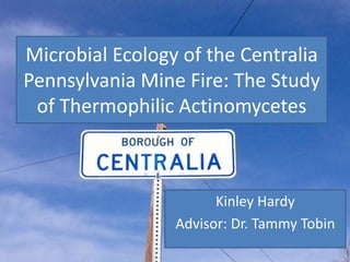 Microbial Ecology of the Centralia
Pennsylvania Mine Fire: The Study
of Thermophilic Actinomycetes
Kinley Hardy
Advisor: Dr. Tammy Tobin
 