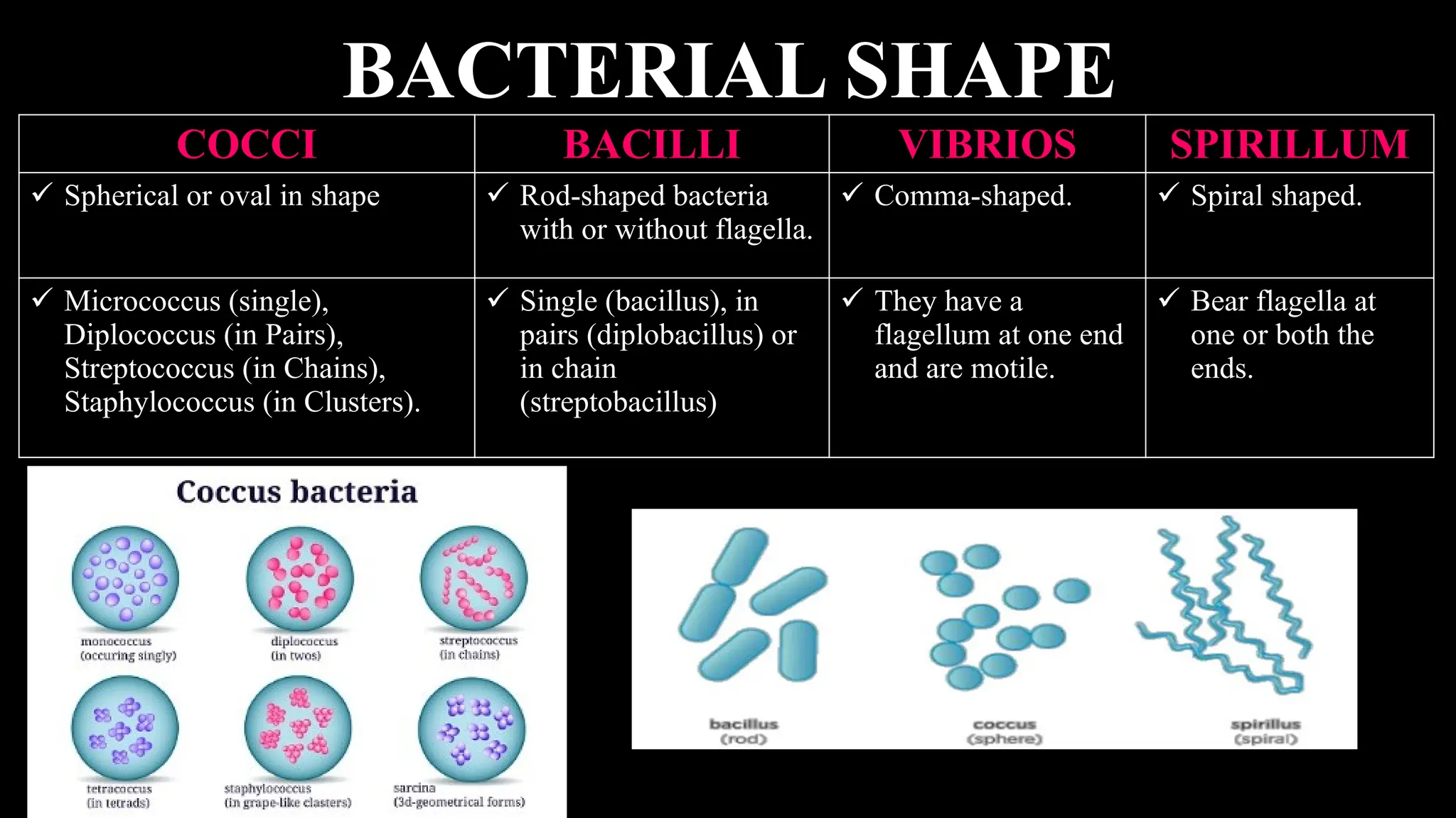558159395-2-Systematics-of-Living-Organisms-Biological-Classification.pdf