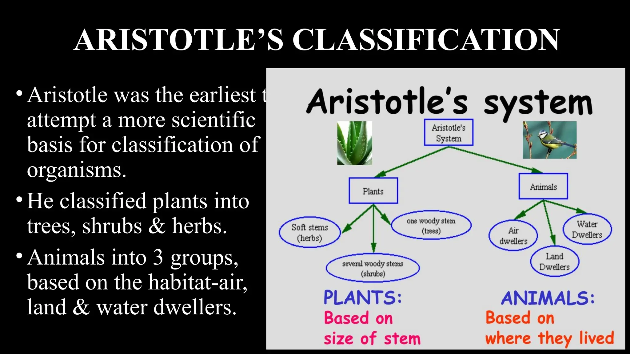 558159395-2-Systematics-of-Living-Organisms-Biological-Classification.pdf