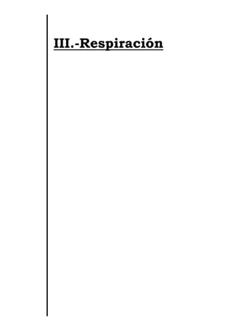 III.-Respiración
 