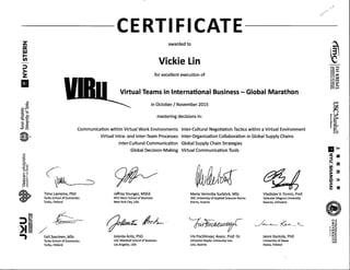 ViBu Certificate