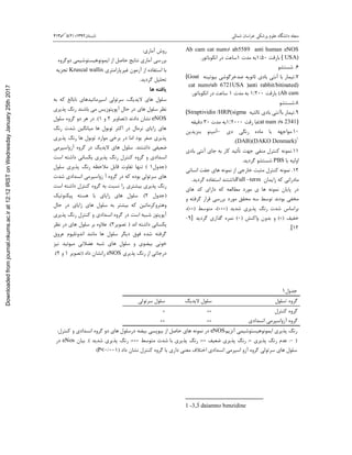 ‫ﺷﻤﺎﻟﯽ‬ ‫ﺧﺮاﺳﺎن‬ ‫ﭘﺰﺷﮑﯽ‬ ‫ﻋﻠﻮم‬ ‫داﻧﺸﮕﺎه‬ ‫ﻣﺠﻠﻪ‬‫ﺗﺎﺑﺴﺘﺎن‬1392‫؛‬)2(5413
anti human eNOSAb cam cat num≠ ab5589
USA)(‫ﺑﺎرﻗﺖ‬50:1‫ﻣﺪت‬ ‫ﺑﻪ‬1‫اﻧﮑﻮﺑﺎﺗﻮر‬ ‫در‬ ‫ﺳﺎﻋﺖ‬.
6.‫ﺷﺴﺘﺸﻮ‬
7.‫ﺑﺎ‬ ‫ﺗﯿﻤﺎر‬‫ﺛﺎﻧﻮﯾﻪ‬ ‫ﺑﺎدي‬ ‫آﻧﺘﯽ‬‫ﺑﯿﻮﺗﯿﻨﻪ‬ ‫ﺿﺪﺧﺮﮔﻮﺷﯽ‬(Goat
anti rabbit/bitinated))cat num≠ab 6721USA
Ab cam(‫ﺑﺎرﻗﺖ‬200:1‫ﺑ‬‫ﻣﺪت‬ ‫ﻪ‬1‫اﻧﮑﻮﺑﺎﺗﻮر‬ ‫در‬ ‫ﺳﺎﻋﺖ‬.
8.‫ﺷﺴﺘﺸﻮ‬
9.‫ﺑﺎ‬ ‫ﺗﯿﻤﺎر‬‫ﺛﺎﻟﺜﯿﻪ‬ ‫ﺑﺎدي‬ ‫آﻧﺘﯽ‬(Straptividin /HRP(sigma
cat num ≠s 2341)‫رﻗﺖ‬ ‫ﺑﺎ‬2000:1‫ﻣﺪت‬ ‫ﺑﻪ‬30‫دﻗﯿﻘﻪ‬
10.‫ﺑﺎ‬ ‫ﻣﻮاﺟﻬﻪ‬‫دي‬ ‫رﻧﮕﯽ‬ ‫ﻣﺎده‬–‫ﺑﻨﺰﯾﺪﯾﻦ‬ ‫آﻣﯿﻨﻮ‬
1
(DAB)(DAKO Denmark).
11.‫ﻧﻤﻮﻧﻪ‬‫ﺑﺎدي‬ ‫آﻧﺘﯽ‬ ‫ﺟﺎي‬ ‫ﺑﻪ‬ ‫ﮐﺎر‬ ‫ﺗﺄﺋﯿﺪ‬ ‫ﺟﻬﺖ‬ ‫ﻣﻨﻔﯽ‬ ‫ﮐﻨﺘﺮل‬
‫ﺑﺎ‬ ‫اوﻟﯿﻪ‬PBS‫ﺷﺴﺘﺸﻮ‬‫ﮔﺮدﯾﺪ‬.
12.‫ﻧﻤﻮﻧﻪ‬‫اﻧﺴﺎﻧﯽ‬ ‫ﺟﻔﺖ‬ ‫ﻫﺎي‬ ‫ﻧﻤﻮﻧﻪ‬ ‫از‬ ‫ﺧﺎرﺟﯽ‬ ‫ﻣﺜﺒﺖ‬ ‫ﮐﻨﺘﺮل‬
‫ﻣﺎد‬‫راﻧﯽ‬‫ﮐﻪ‬‫زاﯾﻤﺎن‬Full –term‫داﺷﺘﻨﺪ‬‫ا‬‫ﮔﺮدﯾﺪ‬ ‫ﺳﺘﻔﺎده‬.
‫ﻫﺎي‬ ‫ﮐﺪ‬ ‫داراي‬ ‫ﮐﻪ‬ ‫ﻣﻄﺎﻟﻌﻪ‬ ‫ﻣﻮرد‬ ‫ي‬ ‫ﻫﺎ‬ ‫ﻧﻤﻮﻧﻪ‬ ‫ﭘﺎﯾﺎن‬ ‫در‬
‫ﺑﻮد‬ ‫ﻣﺨﻔﯽ‬‫ﻣﺤﻘﻖ‬ ‫ﺳﻪ‬ ‫ﺗﻮﺳﻂ‬ ‫ﻧﺪ‬‫و‬ ‫ﮔﺮﻓﺘﻪ‬ ‫ﻗﺮار‬ ‫ﺑﺮرﺳﯽ‬ ‫ﻣﻮرد‬
‫ﭘﺬﯾﺮي‬ ‫رﻧﮓ‬ ‫ﺷﺪت‬ ‫ﺑﺮاﺳﺎس‬‫ﺷﺪﯾﺪ‬(+++)،‫ﻣﺘﻮﺳﻂ‬(++)،
‫ﺧﻔﯿﻒ‬(+)‫واﮐﻨﺶ‬ ‫ﺑﺪون‬ ‫و‬)0(‫ﮔﺮدﯾﺪ‬ ‫ﮔﺬاري‬ ‫ﻧﻤﺮه‬]9-
12[.
1 -3,3́ daiamno benzidine
‫آﻣﺎ‬ ‫روش‬‫ري‬:
‫اﯾﻤﻮﻧﻮﻫﯿﺴﺘﻮﺷ‬ ‫از‬ ‫ﺣﺎﺻﻞ‬ ‫ﻧﺘﺎﯾﺞ‬ ‫آﻣﺎري‬ ‫ﺑﺮرﺳﯽ‬‫ﯿ‬‫دوﮔﺮوه‬ ‫ﻤﯽ‬
‫ﻏﯿﺮﭘﺎراﻣﺘﺮي‬ ‫آزﻣﻮن‬ ‫از‬ ‫اﺳﺘﻔﺎده‬ ‫ﺑﺎ‬Kruscal wallis‫ﺗﺠﺰﯾﻪ‬
‫ﮔﺮدﯾﺪ‬ ‫ﺗﺤﻠﯿﻞ‬.
‫ﻫﺎ‬ ‫ﯾﺎﻓﺘﻪ‬
‫ﻻﯾﺪﯾﮓ‬ ‫ﻫﺎي‬ ‫ﺳﻠﻮل‬،‫ﺳﺮﺗﻮﻟﯽ‬‫ﺑﻪ‬ ‫ﮐﻪ‬ ‫ﻧﺎﺑﺎﻟﻎ‬ ‫اﺳﭙﺮﻣﺎﺗﯿﺪﻫﺎي‬
‫ﭘﺬﯾﺮي‬ ‫رﻧﮓ‬ ‫ﺑﺎﺷﻨﺪ‬ ‫ﻣﯽ‬ ‫آﭘﻮﭘﺘﻮزﯾﺲ‬ ‫ﺣﺎل‬ ‫در‬ ‫ﻫﺎي‬ ‫ﺳﻠﻮل‬ ‫ﻧﻈﺮ‬
eNOS‫دادﻧﺪ‬ ‫ﻧﺸﺎن‬)‫ﺗﺼﺎوﯾﺮ‬2‫و‬1(.‫ﺳﻠﻮل‬ ‫ﮔﺮوه‬ ‫دو‬ ‫ﻫﺮ‬ ‫در‬
‫رﻧﮓ‬ ‫ﺷﺪت‬ ‫ﻣﯿﺎﻧﮕﯿﻦ‬ ‫ﻫﺎ‬ ‫ﺗﻮﺑﻮل‬ ‫اﮐﺜﺮ‬ ‫در‬ ‫ﻧﺮﻣﺎل‬ ‫زاﯾﺎي‬ ‫ﻫﺎي‬
‫ﺻﻔﺮ‬ ‫ﭘﺬﯾﺮي‬‫ﺑﻮد‬‫ﭘﺬﯾﺮي‬ ‫رﻧﮓ‬ ‫ﻫﺎ‬ ‫ﺗﻮﺑﻮل‬ ‫ﻣﻮارد‬ ‫ﺑﺮﺧﯽ‬ ‫در‬ ‫اﻣﺎ‬
‫داﺷﺘﻨﺪ‬ ‫ﺿﻌﯿﻔﯽ‬.‫آزواﺳﭙﺮﻣﯽ‬ ‫ﮔﺮوه‬ ‫در‬ ‫ﻻﯾﺪﯾﮓ‬ ‫ﻫﺎي‬ ‫ﺳﻠﻮل‬
‫اﻧﺴﺪادي‬‫و‬‫ﭘﺬﯾﺮي‬ ‫رﻧﮓ‬ ‫ﮐﻨﺘﺮل‬ ‫ﮔﺮوه‬‫ﯾﮑﺴﺎﻧﯽ‬‫اﺳﺖ‬ ‫داﺷﺘﻪ‬
)‫ﺟﺪول‬1(‫ﭘﺬ‬ ‫رﻧﮓ‬ ‫ﻣﻼﺣﻈﻪ‬ ‫ﻗﺎﺑﻞ‬ ‫ﺗﻔﺎوت‬ ‫ﺗﻨﻬﺎ‬‫ﯾﺮي‬‫ﺳﻠﻮل‬
‫ﺳﺮﺗﻮﻟﯽ‬ ‫ﻫﺎي‬‫در‬ ‫ﮐﻪ‬ ‫ﺑﻮده‬‫ﺷﺪت‬ ‫اﻧﺴﺪادي‬ ‫زواﺳﭙﺮﻣﯽ‬ ‫آ‬ ‫ﮔﺮوه‬
‫اﺳﺖ‬ ‫داﺷﺘﻪ‬ ‫ﮐﻨﺘﺮل‬ ‫ﮔﺮوه‬ ‫ﺑﻪ‬ ‫ﻧﺴﺒﺖ‬ ‫را‬ ‫ﺑﯿﺸﺘﺮي‬ ‫ﭘﺬﯾﺮي‬ ‫رﻧﮓ‬
)‫ﺟﺪول‬2(.‫ﭘﯿﮑﻨﻮﺗﯿ‬ ‫ﻫﺴﺘﻪ‬ ‫ﺑﺎ‬ ‫زاﯾﺎي‬ ‫ﻫﺎي‬ ‫ﺳﻠﻮل‬‫ﮏ‬
‫ﺳﻠﻮل‬ ‫ﺑﻪ‬ ‫ﺑﯿﺸﺘﺮ‬ ‫ﮐﻪ‬ ‫وﻫﺘﺮوﮐﺮﻣﺎﺗﯿﻦ‬‫ﺣﺎل‬ ‫در‬ ‫زاﯾﺎي‬ ‫ﻫﺎي‬
‫اﻧﺴﺪادي‬ ‫ﮔﺮوه‬ ‫در‬ ‫اﺳﺖ‬ ‫ﺷﺒﯿﻪ‬ ‫آﭘﻮﭘﺘﻮز‬‫و‬‫ﮐﻨﺘﺮل‬‫ﭘﺬﯾﺮي‬ ‫رﻧﮓ‬
‫ﯾﮑﺴﺎﻧﯽ‬‫د‬‫ا‬ ‫اﺷﺘﻪ‬‫ﻧﺪ‬)‫ﺗﺼﻮﯾﺮ‬2(.‫ﺑﺮ‬ ‫ﻋﻼوه‬‫ﻧﻈﺮ‬ ‫در‬ ‫ﻫﺎي‬ ‫ﺳﻠﻮل‬
‫ﻋﺮوق‬ ‫اﻧﺪوﺗﻠﯿﻮم‬ ‫ﻣﺎﻧﻨﺪ‬ ‫ﻫﺎ‬ ‫ﺳﻠﻮل‬ ‫دﯾﮕﺮ‬ ‫ﻓﻮق‬ ‫ﺷﺪه‬ ‫ﮔﺮﻓﺘﻪ‬
‫و‬ ‫ﺑﯿﻀﻮي‬ ‫ﺧﻮﻧﯽ‬‫ﻧﯿﺰ‬ ‫ﻣﯿﻮﺋﯿﺪ‬ ‫ﻋﻀﻼﻧﯽ‬ ‫ﺷﺒﻪ‬ ‫ﻫﺎي‬ ‫ﺳﻠﻮل‬
‫ﭘﺬﯾﺮي‬ ‫رﻧﮓ‬ ‫از‬ ‫درﺟﺎﺗﯽ‬eNOS‫راﻧﺸﺎن‬‫داد‬)‫ﺗﺼﻮﯾﺮ‬1‫و‬2(.
‫ﺟﺪول‬1
‫ﮔﺮوه‬/‫ﺳﻠﻮل‬‫ﻻﯾ‬ ‫ﺳﻠﻮل‬‫ﺪﯾﮓ‬‫ﺳﺮﺗﻮﻟﯽ‬ ‫ﺳﻠﻮل‬
‫ﮐﻨﺘﺮل‬ ‫ﮔﺮوه‬+++
‫اﻧﺴﺪادي‬ ‫آزواﺳﭙﺮﻣﯽ‬ ‫ﮔﺮوه‬++++
‫آﻧﺰﯾﻢ‬ ‫اﯾﻤﻮﻧﻮﻫﯿﺴﺘﻮﺷﯿﻤﯽ‬ ‫ﭘﺬﯾﺮي‬ ‫رﻧﮓ‬eNOS‫درﺳﻠﻮل‬ ‫ﺑﯿﻀﻪ‬ ‫ﺑﯿﻮﭘﺴﯽ‬ ‫از‬ ‫ﺣﺎﺻﻞ‬ ‫ﻫﺎي‬ ‫ﻧﻤﻮﻧﻪ‬ ‫در‬‫دو‬ ‫ﻫﺎي‬‫و‬ ‫اﻧﺴﺪادي‬ ‫ﮔﺮوه‬‫ﮐﻨﺘﺮل‬:
)0:‫ﭘﺬﯾﺮي‬ ‫رﻧﮓ‬ ‫ﻋﺪم‬:+‫ﺿﻌﯿﻒ‬ ‫ﭘﺬﯾﺮي‬ ‫رﻧﮓ‬:++‫ﻣﺘﻮﺳﻂ‬ ‫ﺷﺪت‬ ‫ﺑﺎ‬ ‫ﭘﺬﯾﺮي‬ ‫رﻧﮓ‬:+++‫ﺷﺪﯾﺪ‬ ‫ﭘﺬﯾﺮي‬ ‫رﻧﮓ‬(.‫ﺑﯿﺎن‬eNos‫در‬
‫ﮔﺮوه‬ ‫ﺳﺮﺗﻮﻟﯽ‬ ‫ﻫﺎي‬ ‫ﺳﻠﻮل‬‫داد‬ ‫ﻧﺸﺎن‬ ‫ﮐﻨﺘﺮل‬ ‫ﮔﺮوه‬ ‫ﺑﺎ‬ ‫داري‬ ‫ﻣﻌﻨﯽ‬ ‫اﺧﺘﻼف‬ ‫اﻧﺴﺪادي‬ ‫اﺳﭙﺮﻣﯽ‬ ‫آزو‬)001/0P<(
Downloadedfromjournal.nkums.ac.irat12:12IRSTonWednesdayJanuary25th2017
 