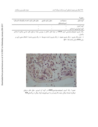 414‫اﮐﺴﺎﯾﺪ‬ ‫ﻧﯿﺘﺮﯾﮏ‬ ‫ﺳﻨﺘﺰﮐﻨﻨﺪه‬ ‫آﻧﺰﯾﻢ‬ ‫اﻧﺪوﺗﻠﯿﺎﻟﯽ‬ ‫اﯾﺰوﻓﺮم‬ ‫ﯾﺎﺑﯽ‬ ‫ﻣﮑﺎن‬..‫و‬ ‫ﻧﻮﯾﻦ‬ ‫ﻏﻔﺎري‬ ‫ﻣﻌﺮﻓﺖ‬‫ﻫﻤﮑﺎران‬
‫ﺟﺪول‬2
‫ﮔﺮوه‬/‫ﺳﻠﻮل‬‫ﺳﯿﺘﻮﭘﻼﺳﻢ‬
‫اﺳﭙﺮﻣﺎﺗﯿﺪﻧﺎﺑﺎﻟﻎ‬
‫ﻃﺒﯿﻌﯽ‬ ‫زاﯾﺎي‬ ‫ﺳﻠﻮل‬‫ﭘﯿﮑﻨﻮﺗﯿﮏ‬ ‫ﻫﺴﺘﻪ‬ ‫ﺑﺎ‬ ‫زاﯾﺎي‬ ‫ﻫﺎي‬ ‫ﺳﻠﻮل‬)‫اﺑﻨﺮﻣﺎل‬(
‫ﮐﻨﺘﺮل‬ ‫ﮔﺮوه‬+0+
‫اﻧﺴﺪادي‬ ‫آزواﺳﭙﺮﻣﯽ‬ ‫ﮔﺮوه‬+0+
‫آﻧﺰﯾﻢ‬ ‫اﯾﻤﻮﻧﻮﻫﯿﺴﺘﻮﺷﯿﻤﯽ‬ ‫ﭘﺬﯾﺮي‬ ‫رﻧﮓ‬eNOS‫ﺑﯿﻮﭘﺴﯽ‬ ‫از‬ ‫ﺣﺎﺻﻞ‬ ‫ﻫﺎي‬ ‫ﻧﻤﻮﻧﻪ‬ ‫در‬‫ﺟﻨﺴﯽ‬ ‫ﻫﺎي‬ ‫درﺳﻠﻮل‬ ‫ﺑﯿﻀﻪ‬‫اﻧﺴﺪادي‬ ‫دوﮔﺮوه‬
‫وﮐﻨﺘﺮل‬:
)0:‫ﭘﺬﯾﺮي‬ ‫رﻧﮓ‬ ‫ﻋﺪم‬:+‫ﺿﻌﯿﻒ‬ ‫ﭘﺬﯾﺮي‬ ‫رﻧﮓ‬:++‫ﻣﺘﻮﺳﻂ‬ ‫ﺷﺪت‬ ‫ﺑﺎ‬ ‫ﭘﺬﯾﺮي‬ ‫رﻧﮓ‬:+++‫ﺷﺪﯾﺪ‬ ‫ﭘﺬﯾﺮي‬ ‫رﻧﮓ‬.(‫در‬ ‫داري‬ ‫ﻣﻌﻨﯽ‬ ‫اﺧﺘﻼف‬
‫ﺑﯿﺎن‬eNOS‫ﻧﺪادﻧﺪ‬ ‫ﻧﺸﺎن‬)05/0p>(
‫ﺗﺼﻮﯾ‬‫ﺮ‬1:‫اﯾﻤﻮﻧﻮﻫﯿﺴﺘﻮﺷﯿﻤﯽ‬ ‫آﻣﯿﺰي‬ ‫رﻧﮓ‬eNOS‫اﺳﭙﺮﻣﯽ‬ ‫آزو‬ ‫ﮔﺮوه‬ ‫در‬.‫ﺳﺮﺗﻮﻟﯽ‬ ‫ﻫﺎي‬ ‫ﺳﻠﻮل‬
)‫ﭘﯿﮑﺎن‬(‫ﻟﯿﺪﯾﮏ‬ ،)،‫ﺳﻔﯿﺪ‬ ‫ﭘﯿﮑﺎن‬‫وﭼﭗ‬ ‫ﺑﺎﻻ‬(‫اﺳﭙﺮﻣﺎﺗﻮزوﺋﯿﺪ‬ ‫رده‬ ‫و‬)‫ﭘﯿﮑﺎن‬ ‫ﻧﻮك‬.(‫ﺑﺰرﮔﻨﻤﺎﯾﯽ‬40X
Downloadedfromjournal.nkums.ac.irat12:12IRSTonWednesdayJanuary25th2017
 