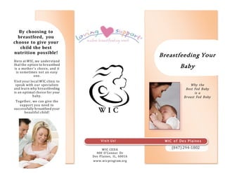 51 Breast feeding 101 ideas  breastfeeding, breastfeeding tips,  breastfeeding and pumping