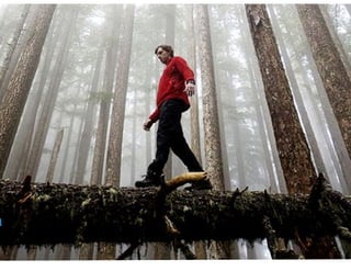 10_23092010_1800_Presentacion