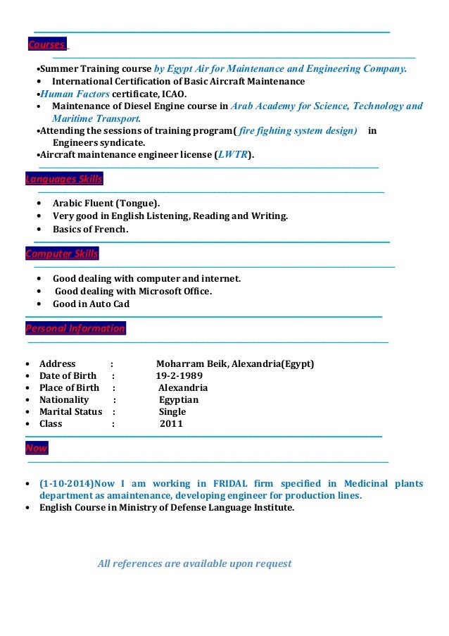 aircraft maintenance engineer resumes