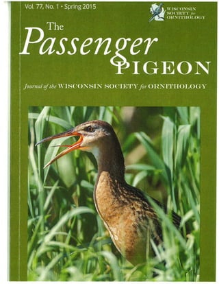 Passenger Pigeon article-Spring 2015_LOST CREEK WETLAND-A RESTORED BIRD HAVEN