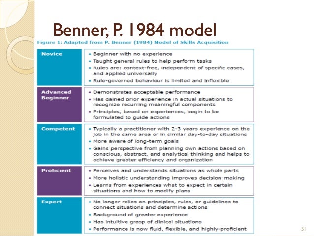 benner s novice to expert theory
