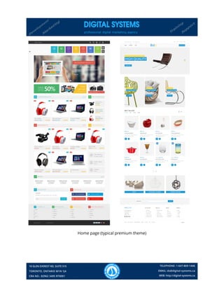 Home page (typical premium theme)
 