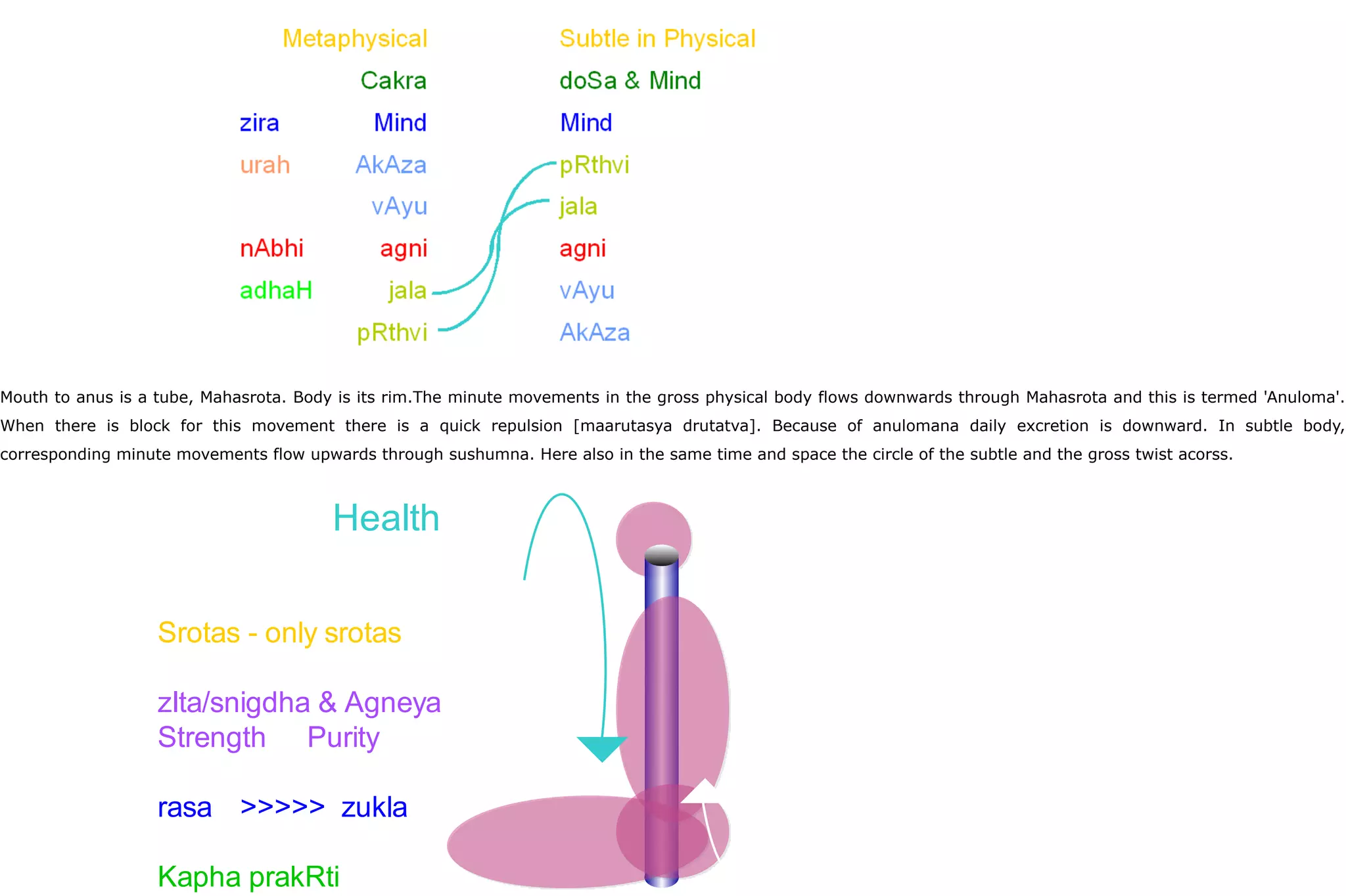 Mouth to anus is a tube, Mahasrota. Body is its rim.The minute movements in the gross physical body flows downwards through Mahasrota and this is termed 'Anuloma'.
When there is block for this movement there is a quick repulsion [maarutasya drutatva]. Because of anulomana daily excretion is downward. In subtle body,
corresponding minute movements flow upwards through sushumna. Here also in the same time and space the circle of the subtle and the gross twist acorss.
Health
Srotas - only srotas
zIta/snigdha & Agneya
Strength Purity
rasa >>>>> zukla
Kapha prakRti
 