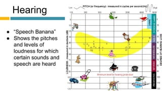 Hearing
● “Speech Banana”
● Shows the pitches
and levels of
loudness for which
certain sounds and
speech are heard
 